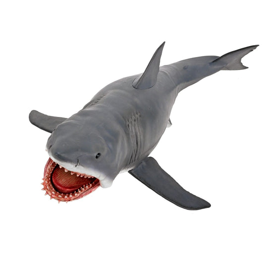 Jaws 50th Anniversary - Head to Tail Game